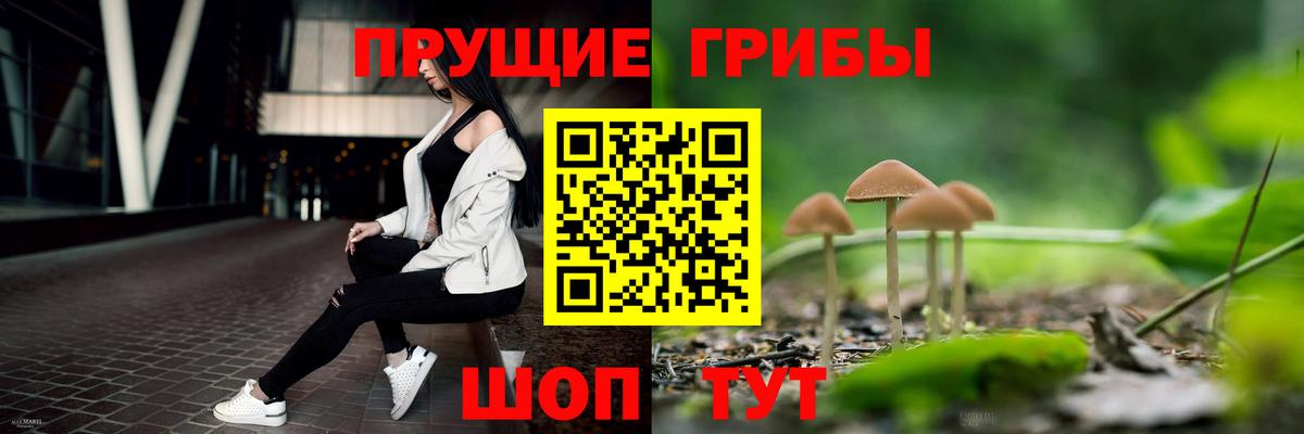 Нижнеудинск  Галлюциногенные грибы Psilocybe  Вход с VPN 